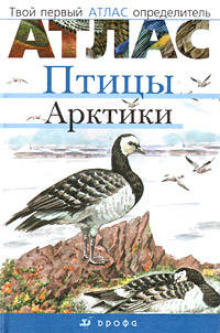 Птицы Арктики. Твой первый атлас-определитель
