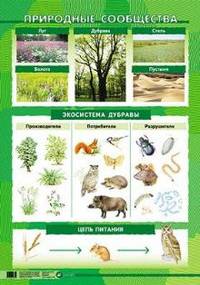 Лист / Природные сообщества. Плакат