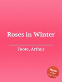 Roses in Winter
