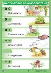 Наглядное пособие. Клеточное строение растений / Образовательная ткань растений