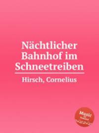 Nchtlicher Bahnhof im Schneetreiben