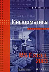 Информатика. Практикум MS Excel 2003. Учебное пособие (+ CD-ROM)