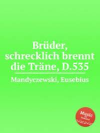 Brder, schrecklich brennt die Trne, D.535