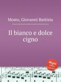 Il bianco e dolce cigno