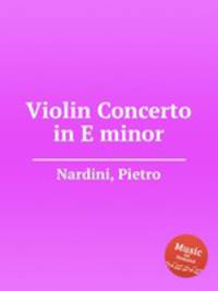 Violin Concerto in E minor