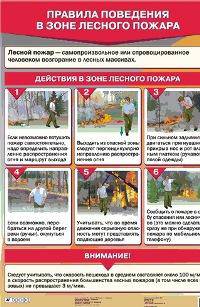 Правила поведения в зоне лесного пожара. Наглядное пособие