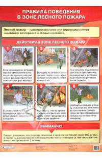 Правила поведения в зоне лесного пожара