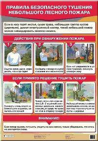 Правила безопасного тушения небольшого лесного пожара. Наглядное пособие