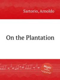 On the Plantation