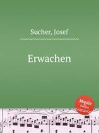 Erwachen
