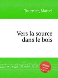 Vers la source dans le bois