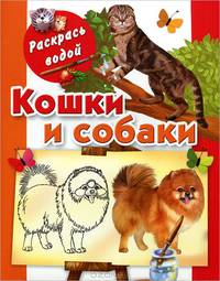 Кошки и собаки