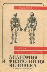 Анатомия и физиология человека