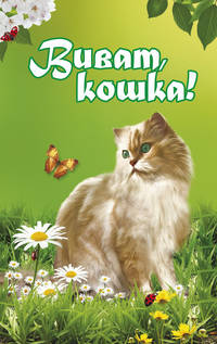 Виват, кошка!