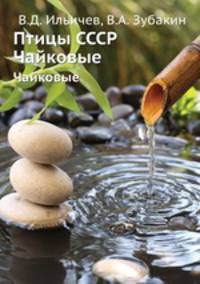 Птицы СССР. Чайковые