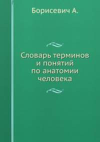 Словарь терминов и понятий по анатомии человека