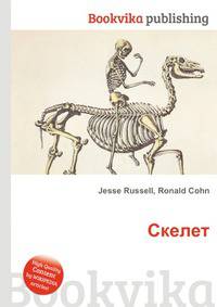 Скелет