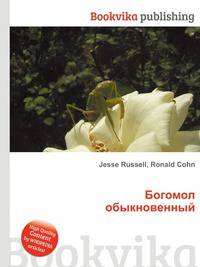 Богомол обыкновенный