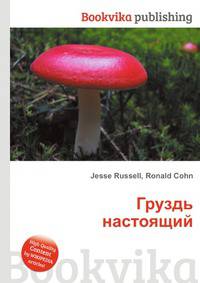 Груздь настоящий