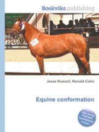 Equine conformation