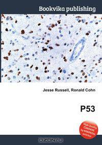 P53