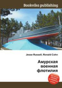 Амурская военная флотилия