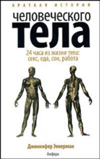 Краткая история человеческого тела. 24 часа из жизни тела: секс, еда, сон, работа. - (краткая история)