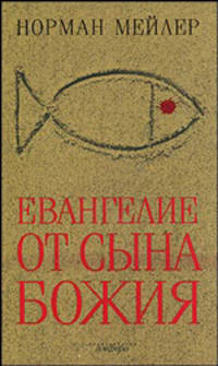 Евангелие от Сына Божия. Роман