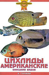 Лучшее лето в ее жизни: Рассказы - ('ФРАМ')