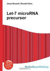 Let-7 microRNA precursor