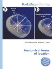 Anatomical terms of location