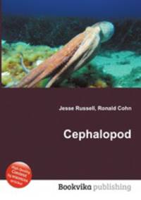 Cephalopod