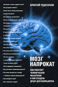 Мозг напрокат. Как работает человеческое мышление и как создать душу для компьютера