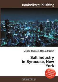 Salt industry in Syracuse, New York