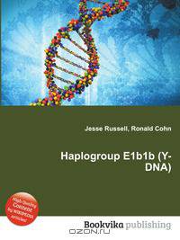 Haplogroup E1b1b (Y-DNA)