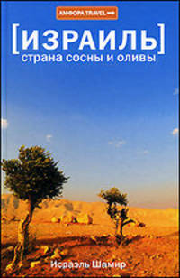 Израиль. Страна сосны и оливы, или Неприметные прелести Святой земли