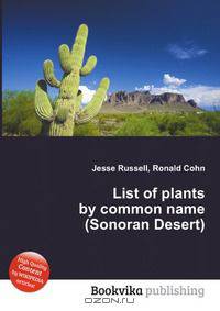 List of plants by common name (Sonoran Desert)