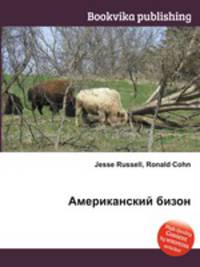 Американский бизон