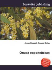 Олива европейская