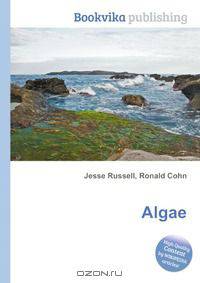 Algae