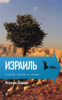 Страна сосны и оливы, или Неприметные прелести Святой земли