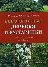 Декоративные деревья и кустарники. Иллюстрированный справочник