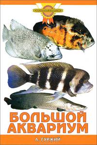 Большой аквариум