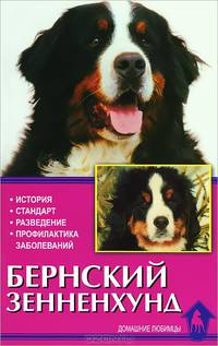 Бернский зенненхунд. История. Стандарты. Разведение. Профилактика заболеваний
