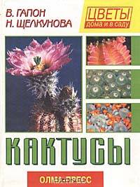 Кактусы