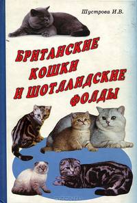 Британские кошки и шотландские фолды