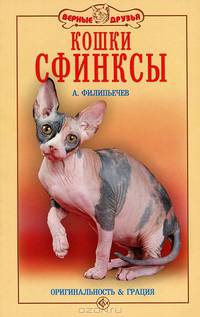 Кошки сфинксы. Оригинальность и грация