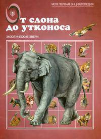 От слона до утконоса