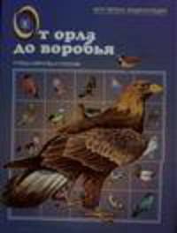 От орла до воробья