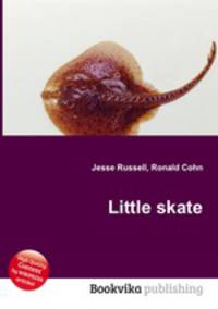 Little skate